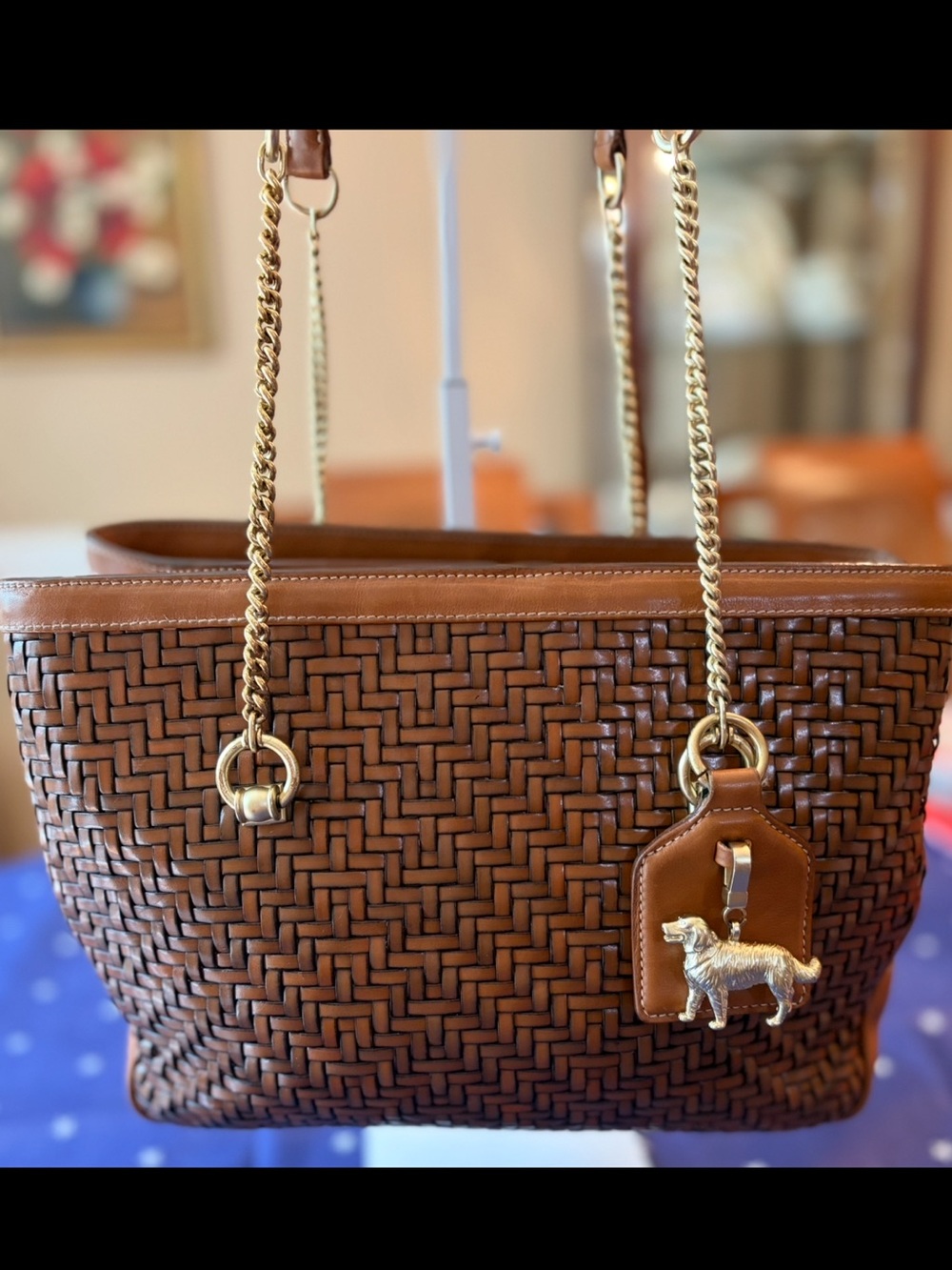 EUC Kieslestein Cord “Dog” Woven Leather Bag w/Chain and Center Zip Pocket IYKYK